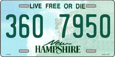 NH license plate 3607950