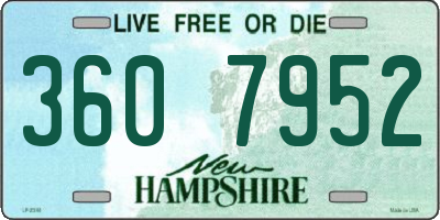 NH license plate 3607952