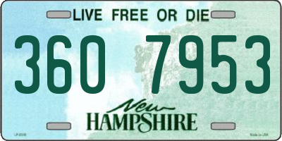 NH license plate 3607953