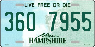 NH license plate 3607955