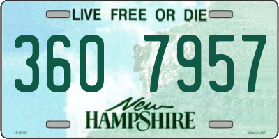 NH license plate 3607957