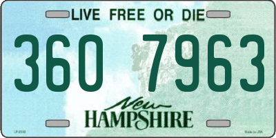 NH license plate 3607963