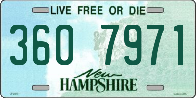 NH license plate 3607971