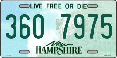 NH license plate 3607975