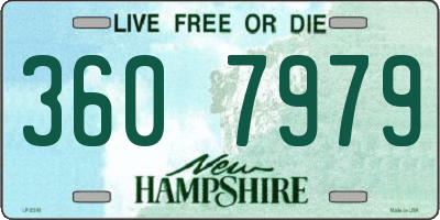 NH license plate 3607979