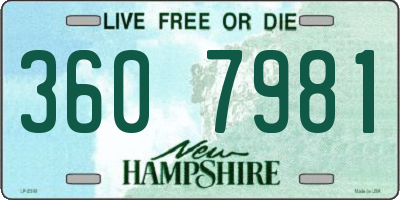 NH license plate 3607981