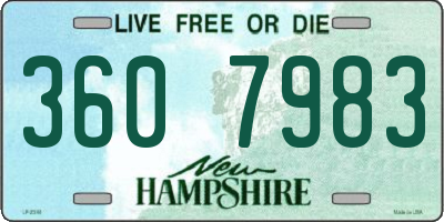 NH license plate 3607983