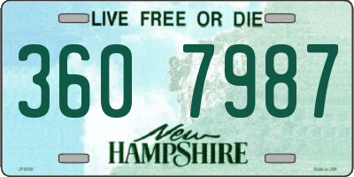 NH license plate 3607987