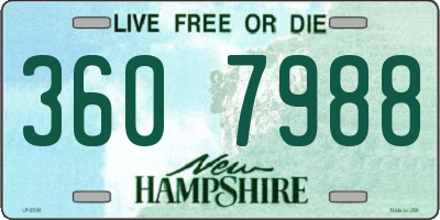 NH license plate 3607988