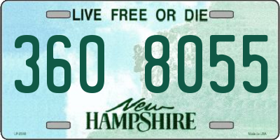 NH license plate 3608055
