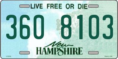 NH license plate 3608103