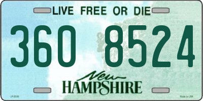 NH license plate 3608524