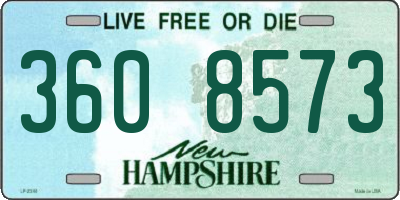 NH license plate 3608573
