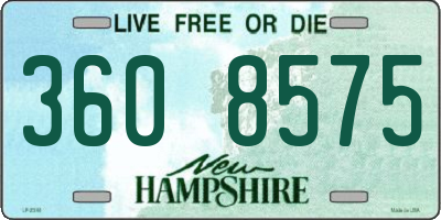 NH license plate 3608575