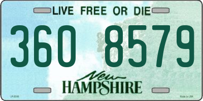 NH license plate 3608579
