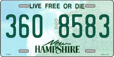 NH license plate 3608583