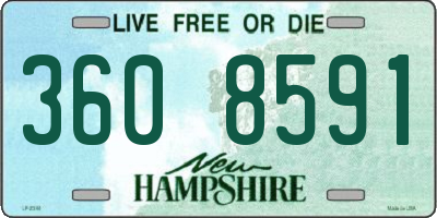 NH license plate 3608591