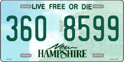 NH license plate 3608599