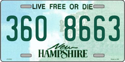 NH license plate 3608663