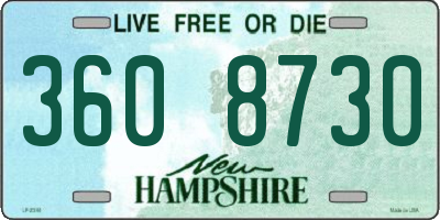 NH license plate 3608730