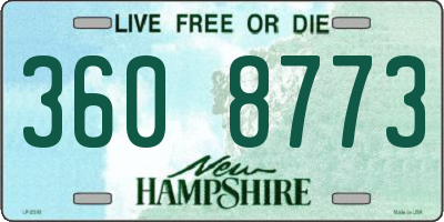 NH license plate 3608773