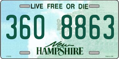 NH license plate 3608863