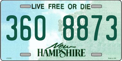 NH license plate 3608873