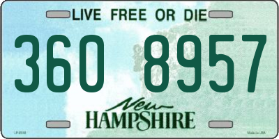 NH license plate 3608957