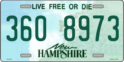NH license plate 3608973