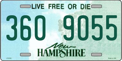 NH license plate 3609055