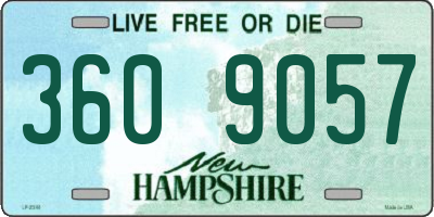 NH license plate 3609057