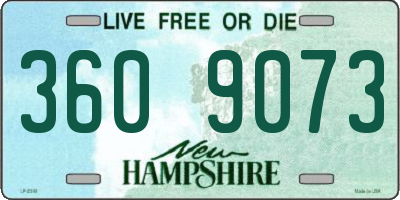 NH license plate 3609073