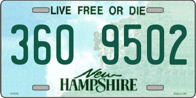 NH license plate 3609502