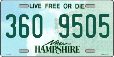 NH license plate 3609505