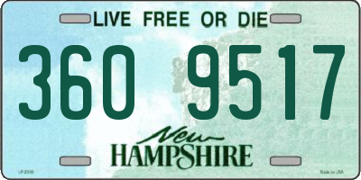 NH license plate 3609517