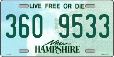 NH license plate 3609533