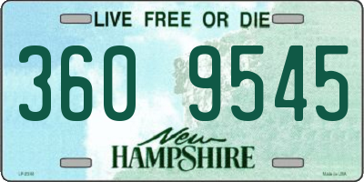 NH license plate 3609545
