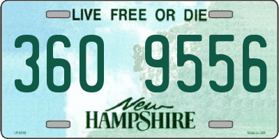 NH license plate 3609556