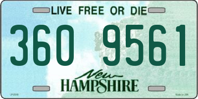 NH license plate 3609561