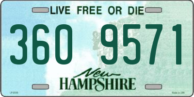 NH license plate 3609571