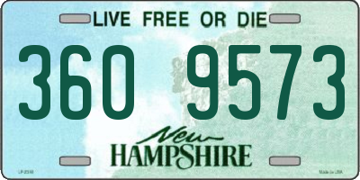 NH license plate 3609573