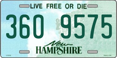 NH license plate 3609575