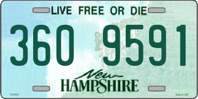 NH license plate 3609591