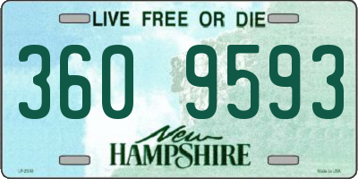 NH license plate 3609593