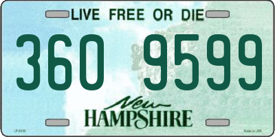 NH license plate 3609599