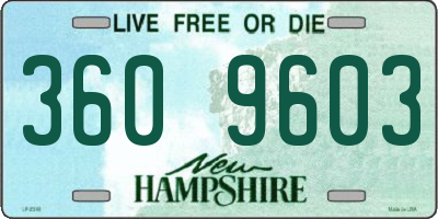 NH license plate 3609603