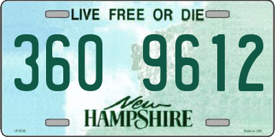 NH license plate 3609612