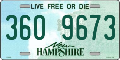 NH license plate 3609673