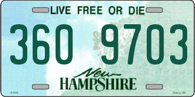 NH license plate 3609703
