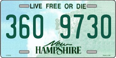 NH license plate 3609730
